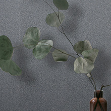 Illumina