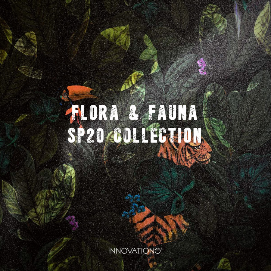 SP20 Collection Catalog